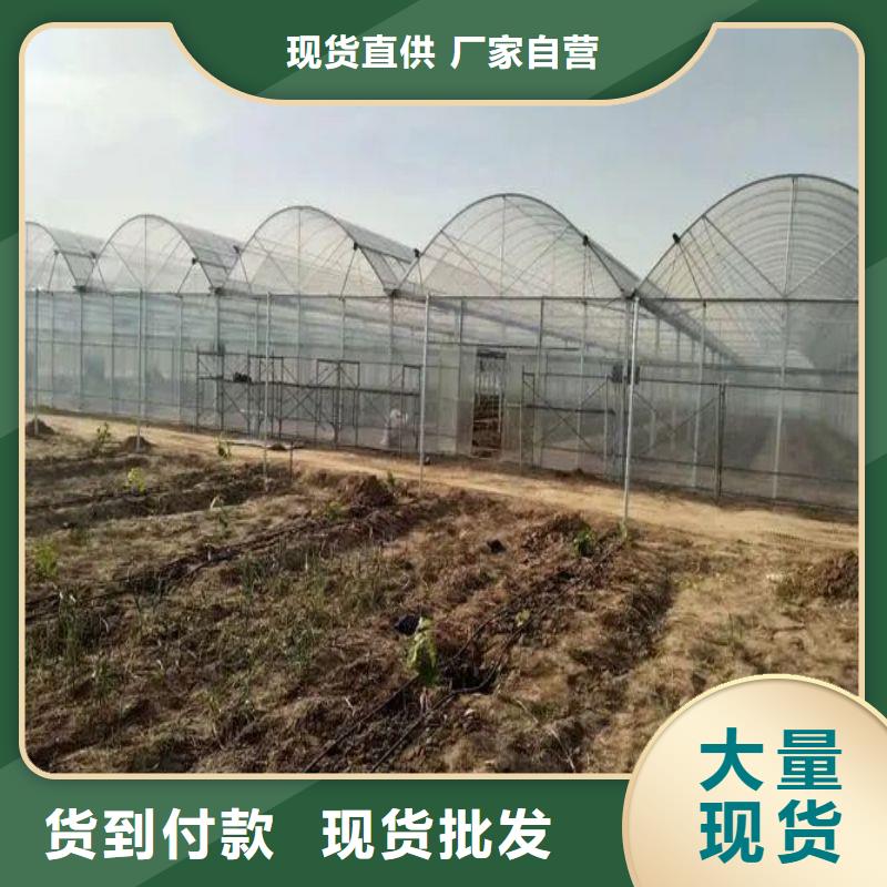 大棚管2-蔬菜温室大棚管来图来样定制