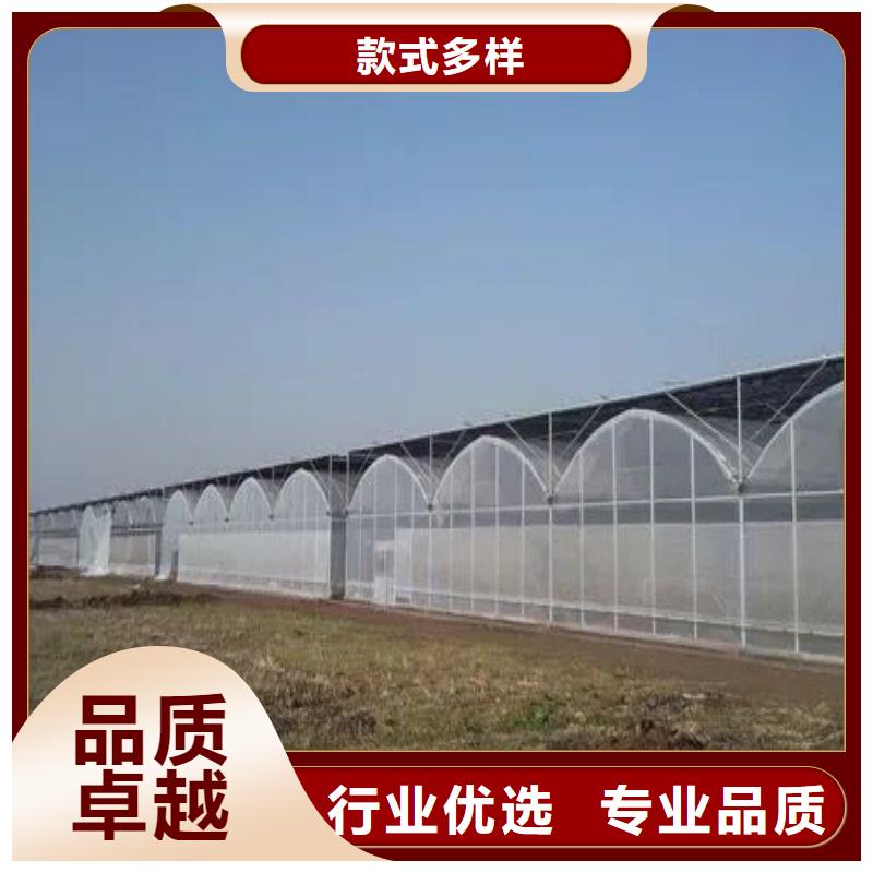 陆河县春秋大棚联系电话