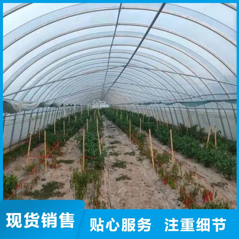 大棚管2-溫室薄膜大棚優(yōu)選廠(chǎng)商