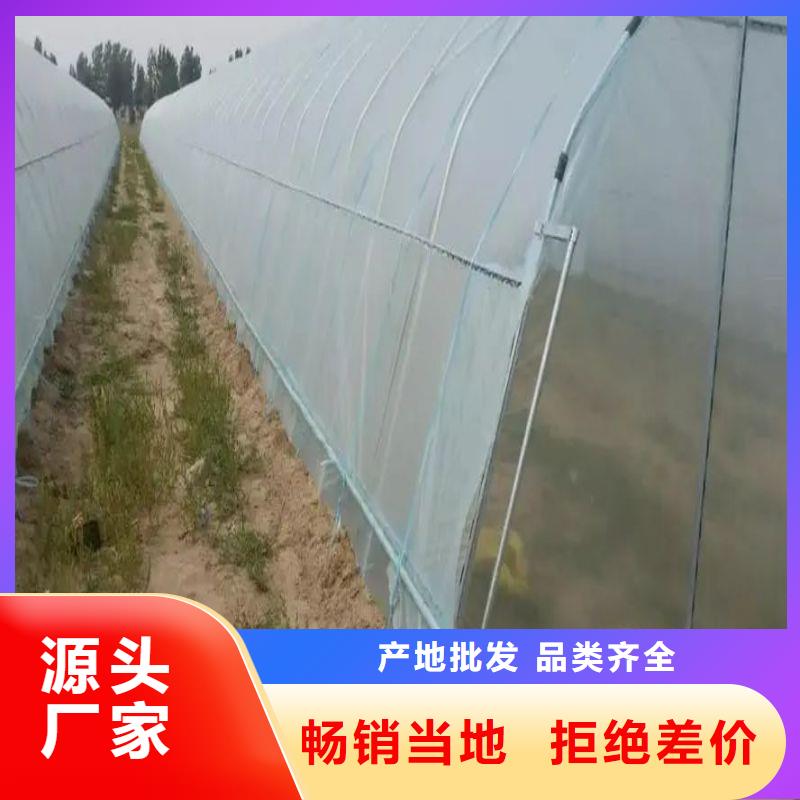 大棚管2-【溫室大棚管】多年行業(yè)積累