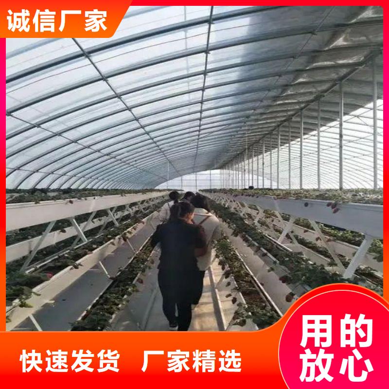 大棚管2 连栋大棚管助您降低采购成本