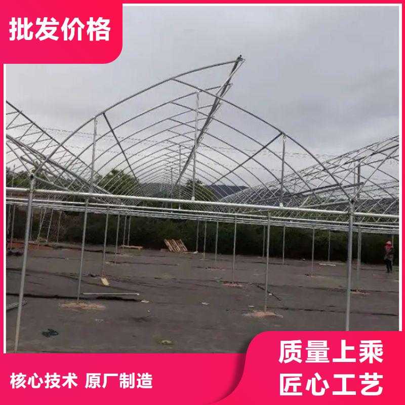 定尺連棟蔬菜大棚管有興趣合作