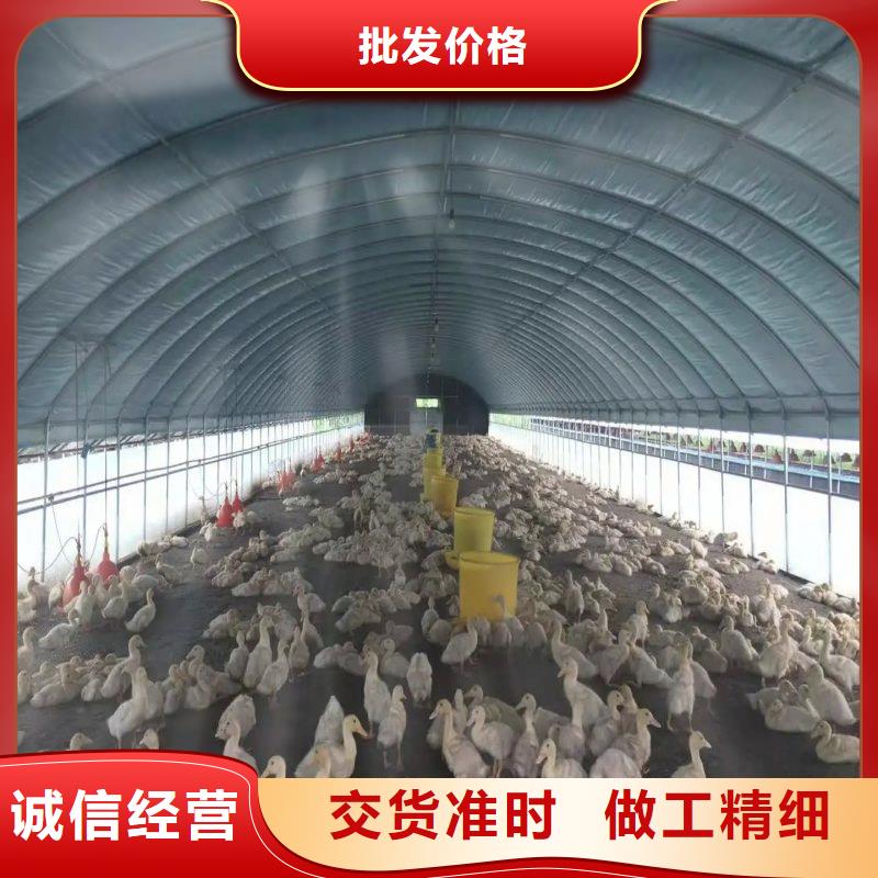 大棚管2连栋大棚管源头厂源头货