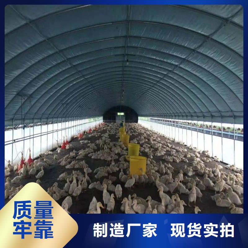 大棚管2連棟大棚管源頭廠源頭貨