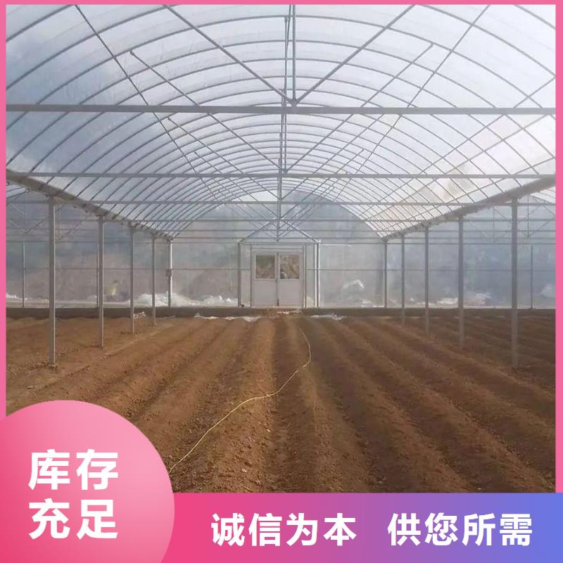 大棚管2 日光温室大棚实体厂家支持定制