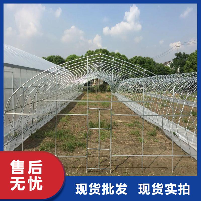 大棚管2 大棚管本地配送
