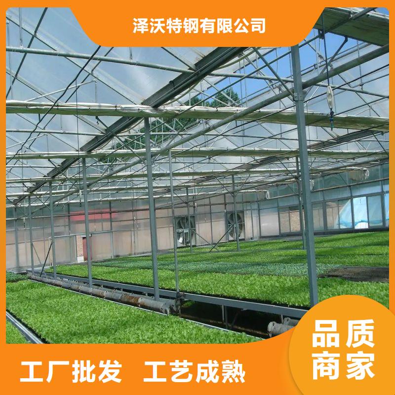 大棚管2溫室大棚管貨真價實