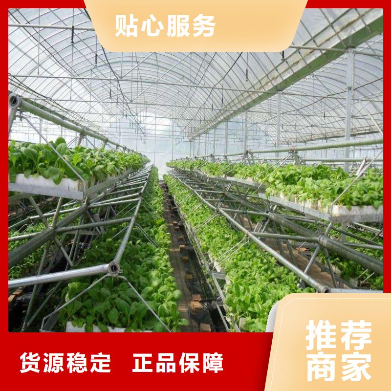 大棚管2-连栋大棚管按需设计