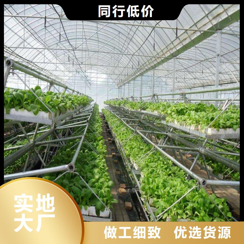大棚管2-大棚管信誉有保证