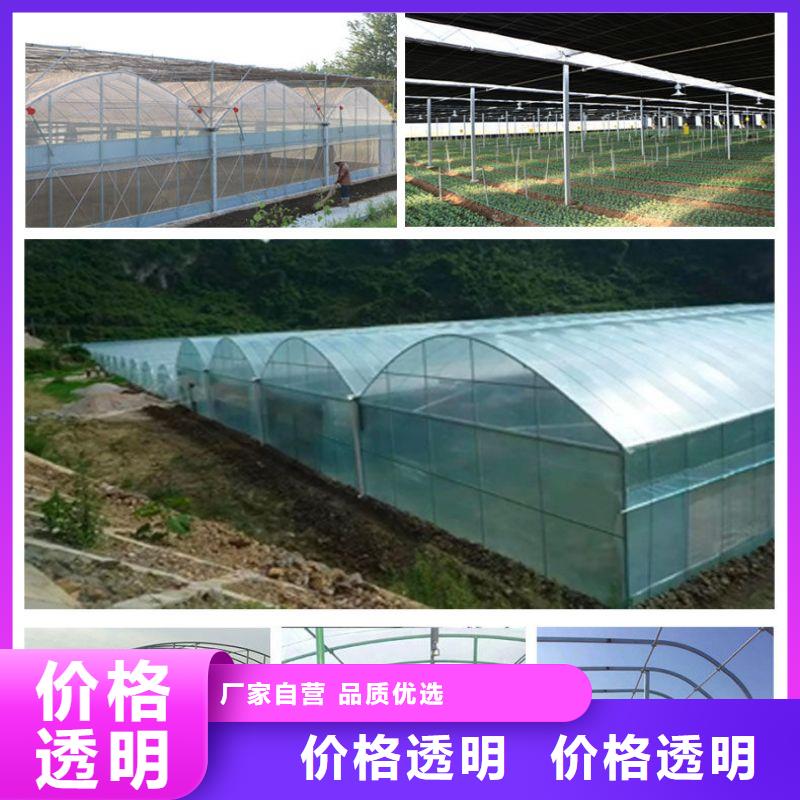 大棚管2連棟大棚管源頭廠源頭貨