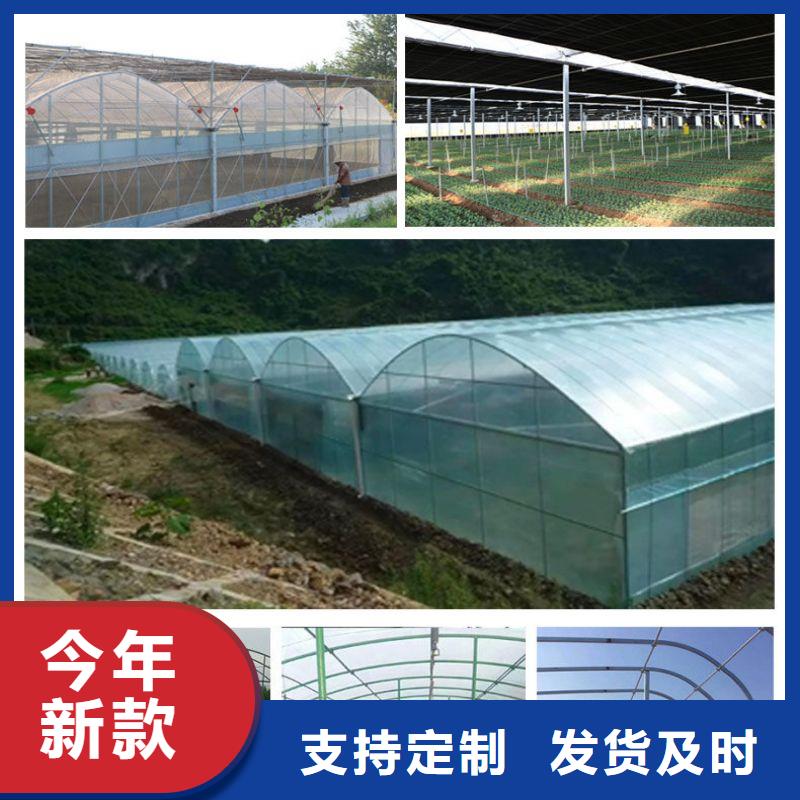 縣連體大棚鋼管廠家直供