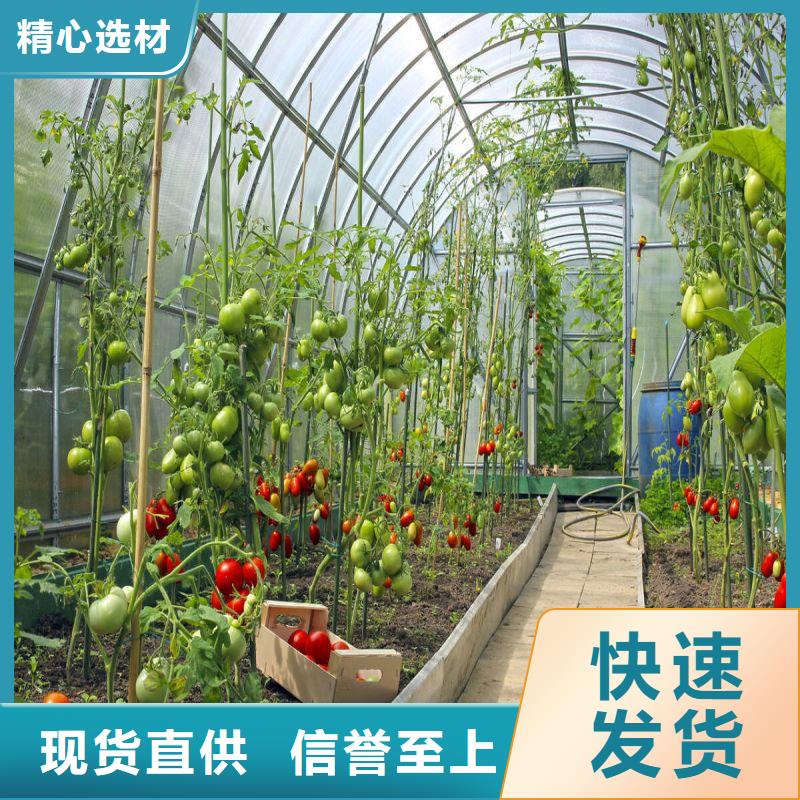 大棚管2-大棚管信誉有保证