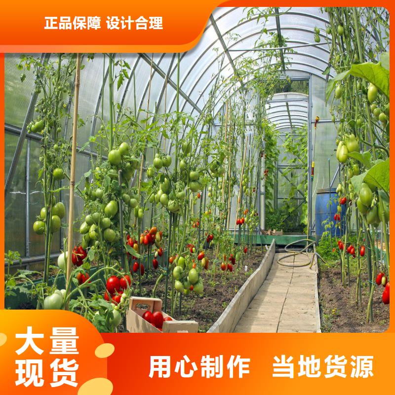 大棚管2連棟溫室搭建工廠直銷