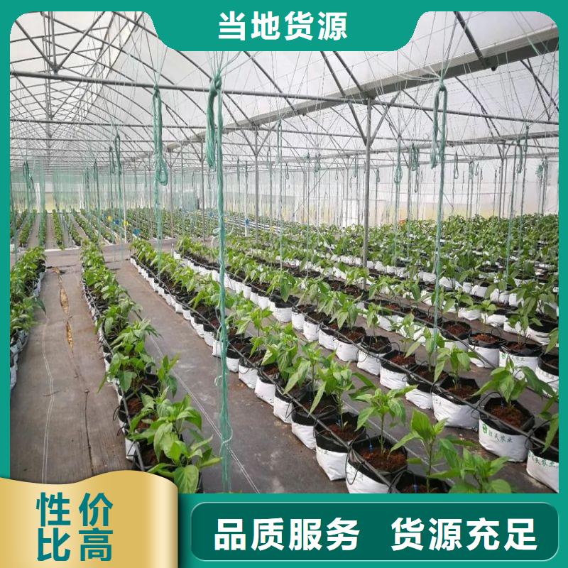 大棚管2鍍鋅方管現(xiàn)貨供應(yīng)