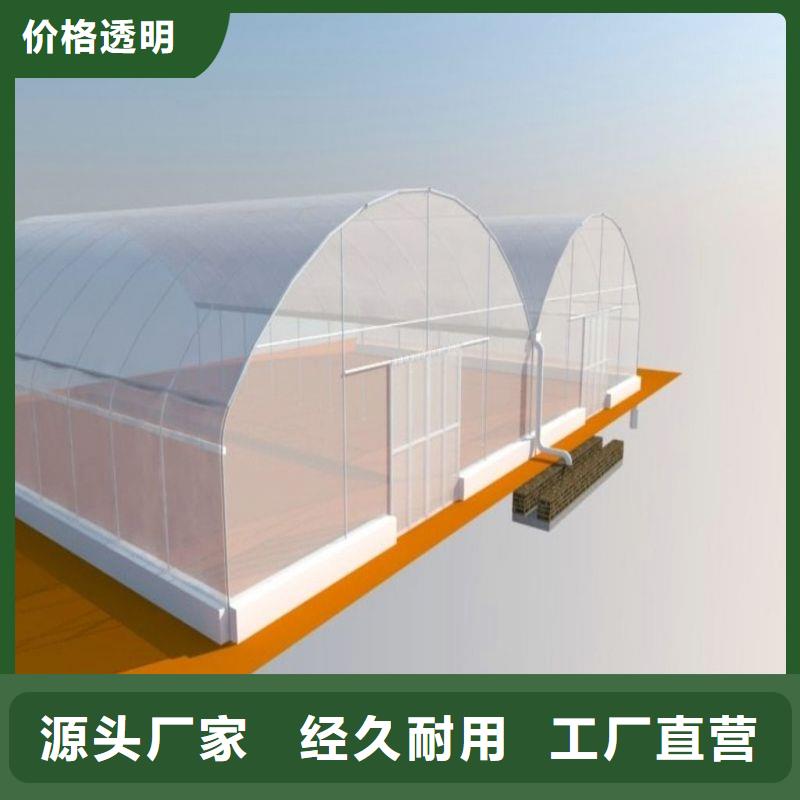 定尺連棟蔬菜大棚管有興趣合作