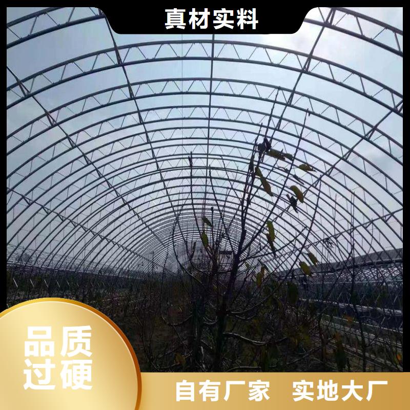 大棚管2溫室大棚管工廠直供