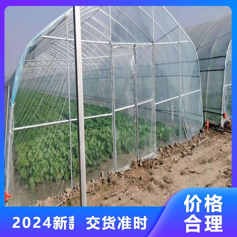 陆河县春秋大棚联系电话