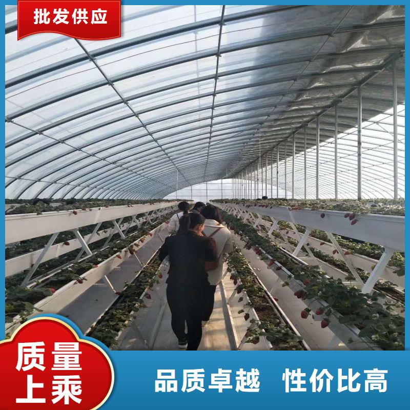 【大棚管2蔬菜溫室大棚管廠家直銷值得選擇】