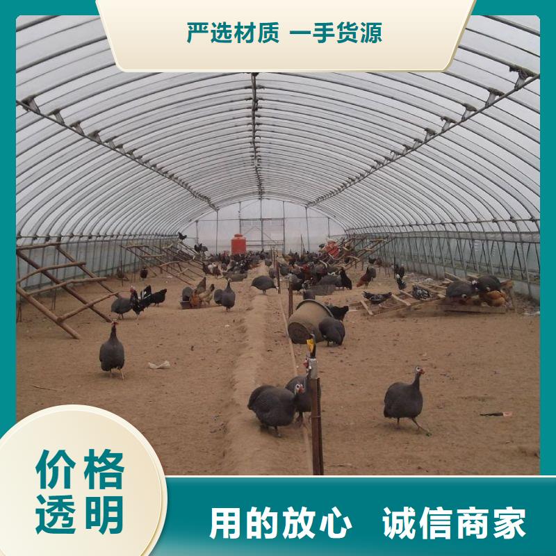 大棚管2大棚管优质货源