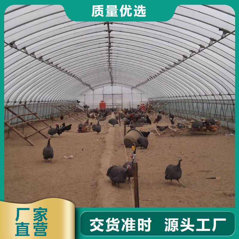縣農(nóng)用連體大棚管,喜歡