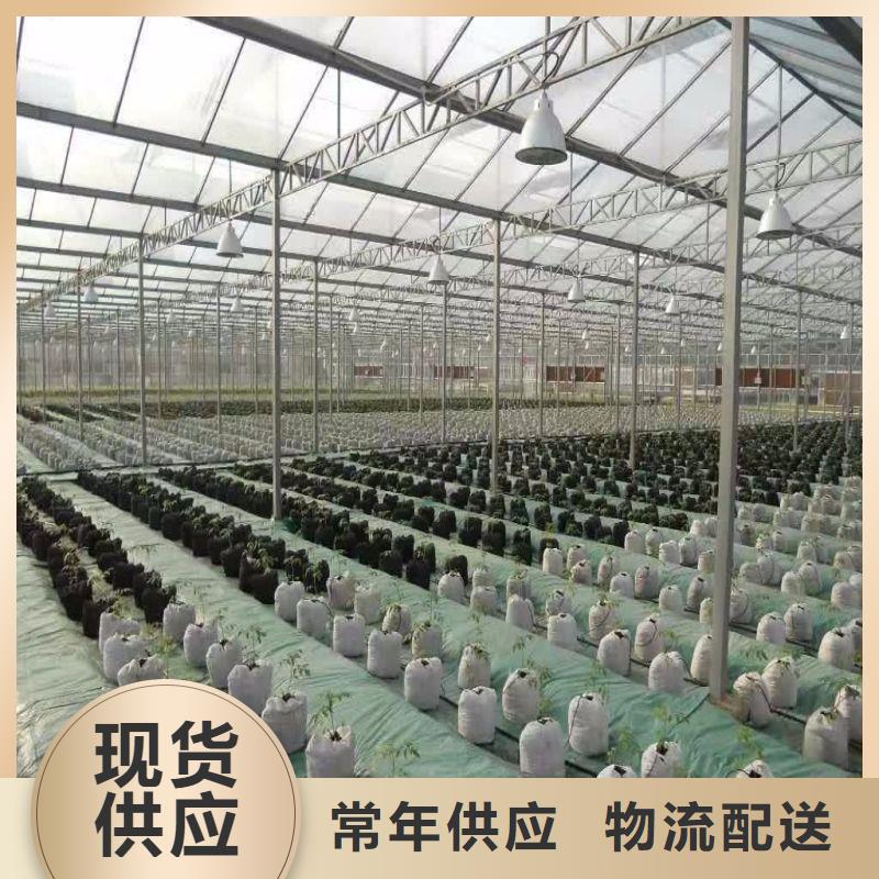 【大棚管2】-農(nóng)業(yè)養(yǎng)殖大棚管值得買