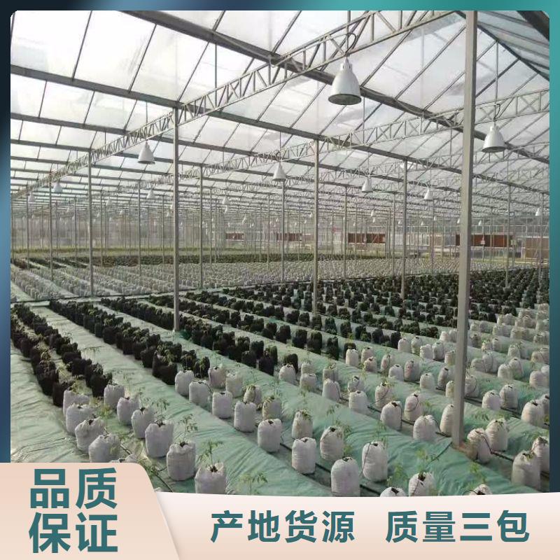 大棚管2连栋大棚管源头厂源头货