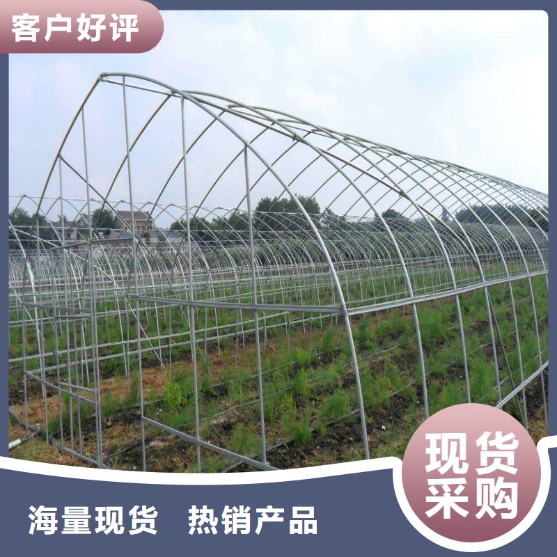 大棚管2-橢圓管溫室大棚專注生產N年