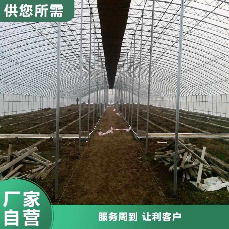 大棚管2農(nóng)業(yè)養(yǎng)殖大棚管本地廠家值得信賴
