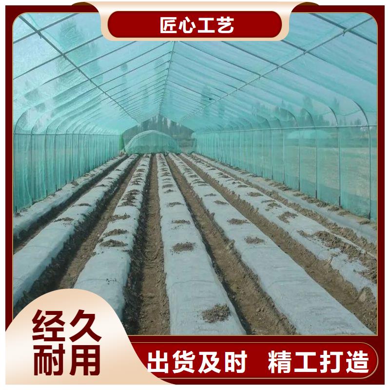 新城圓拱型骨架鋼管