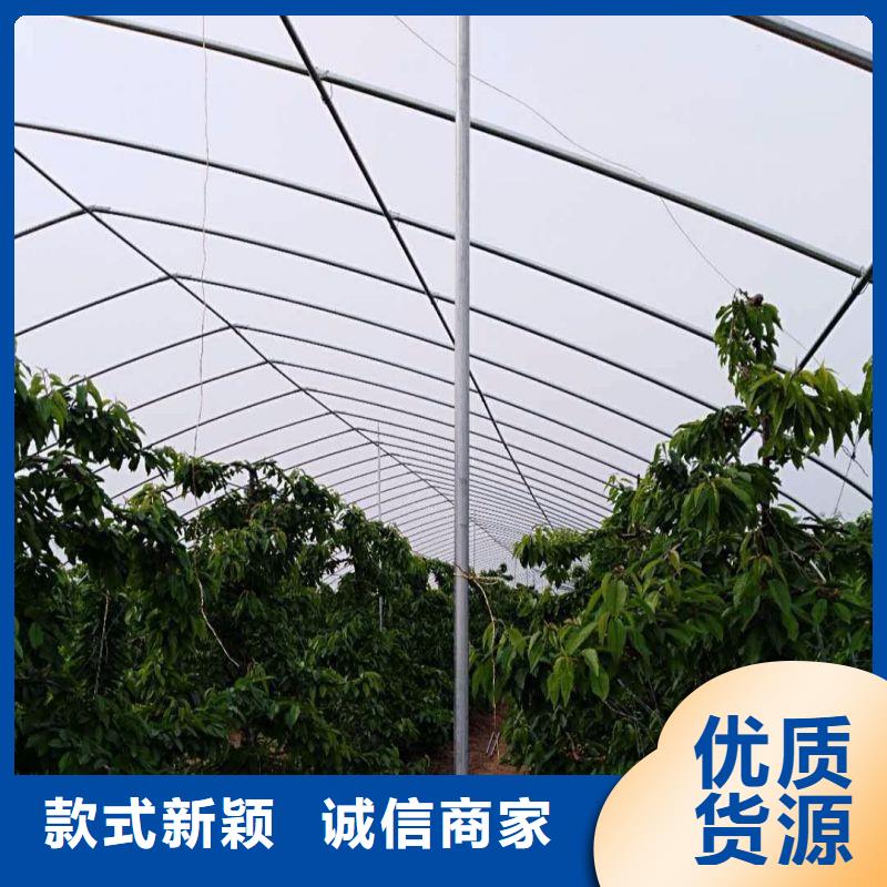 常熟塑料薄膜大棚服務(wù)為先