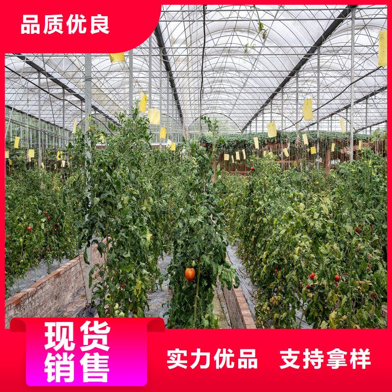 大棚管2温室大棚管打造行业品质
