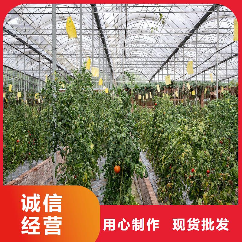 大棚管2大棚管敢与同行比服务