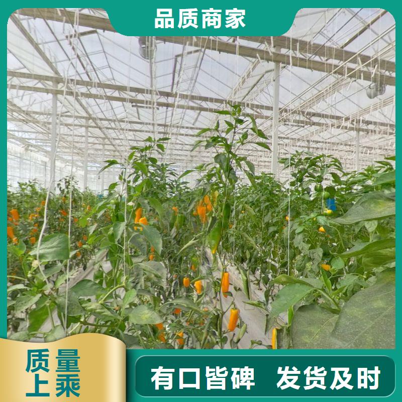 【大棚管2大棚管廠家從源頭保證品質(zhì)】