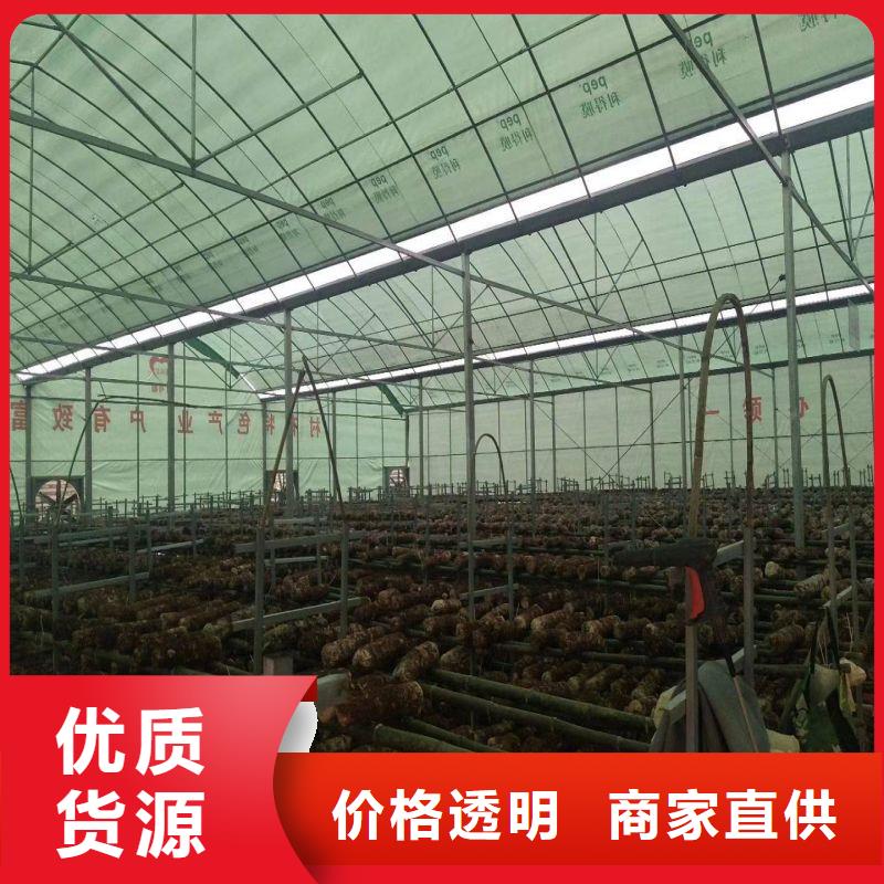 縣帶外遮陽水簾風(fēng)機大棚鋼管 地址