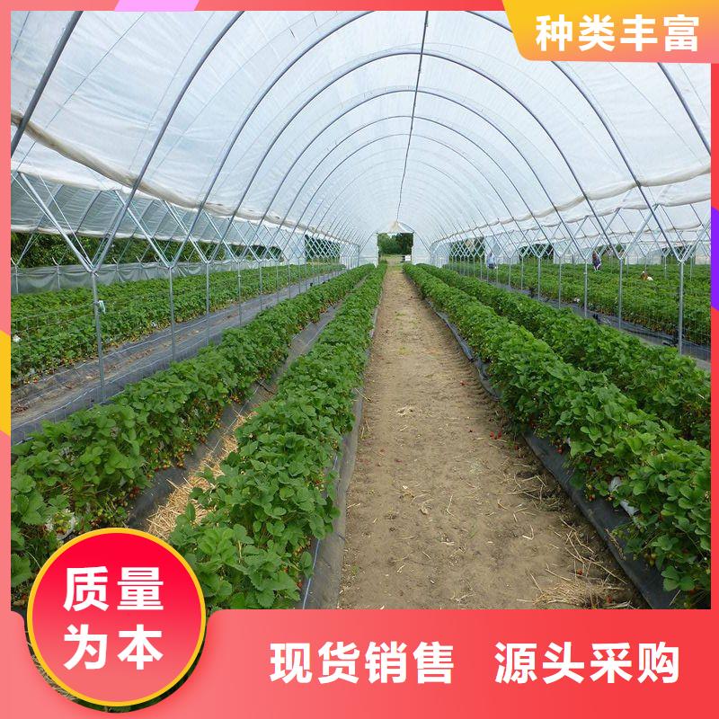 大棚管2温室大棚管打造行业品质
