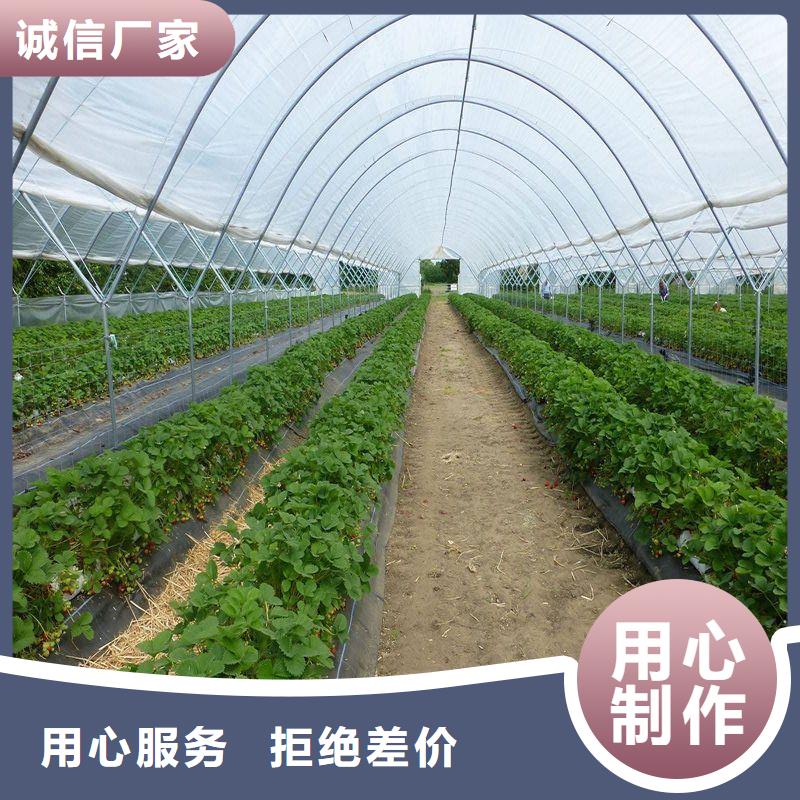 大棚管2方管定制销售售后为一体