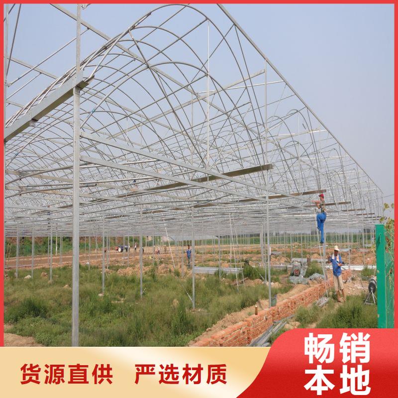 大棚管2 大棚管產(chǎn)地采購