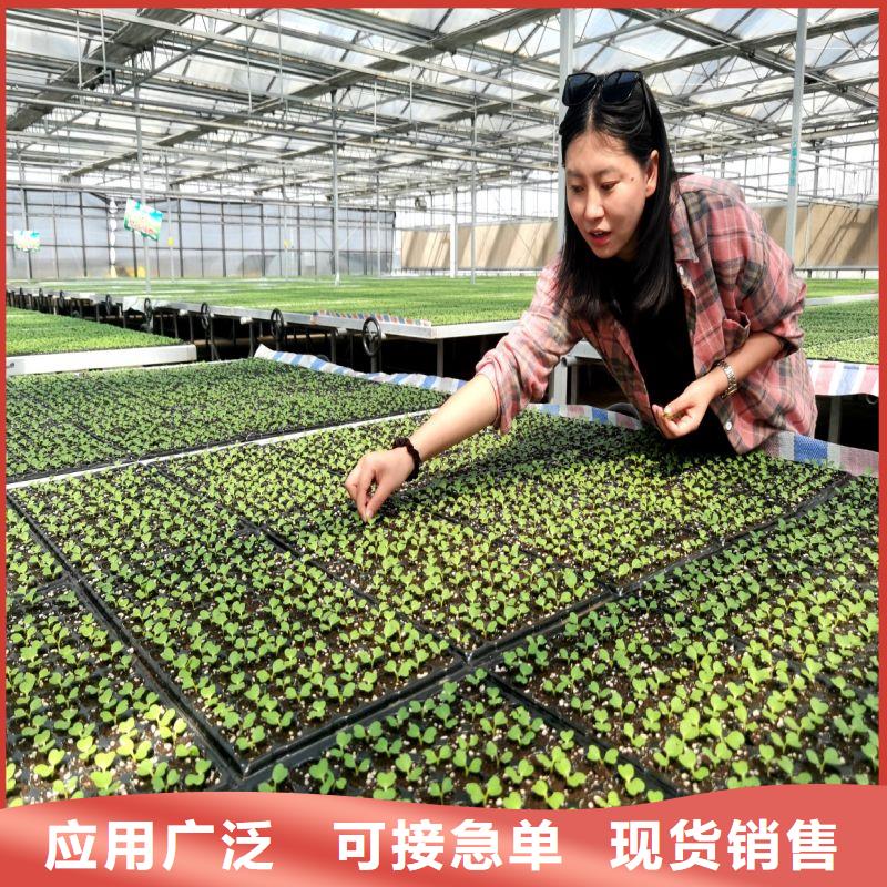 大棚管2连栋大棚管货源稳定