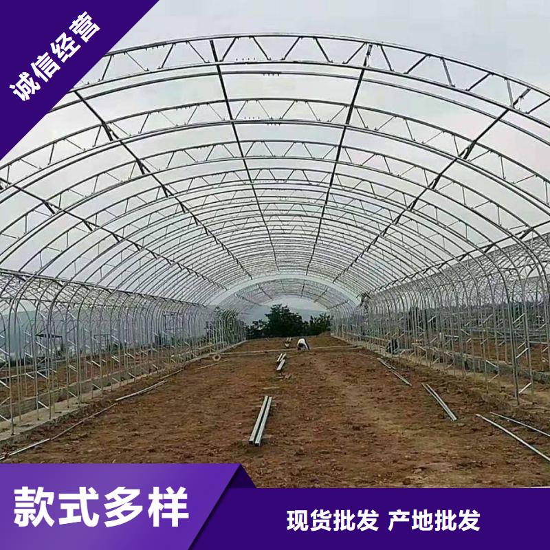 陆河简易大棚管现货