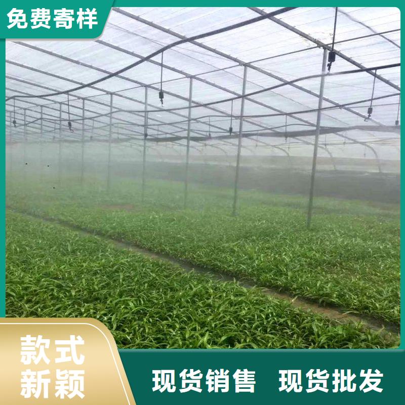 大棚管2连栋大棚管老品牌厂家