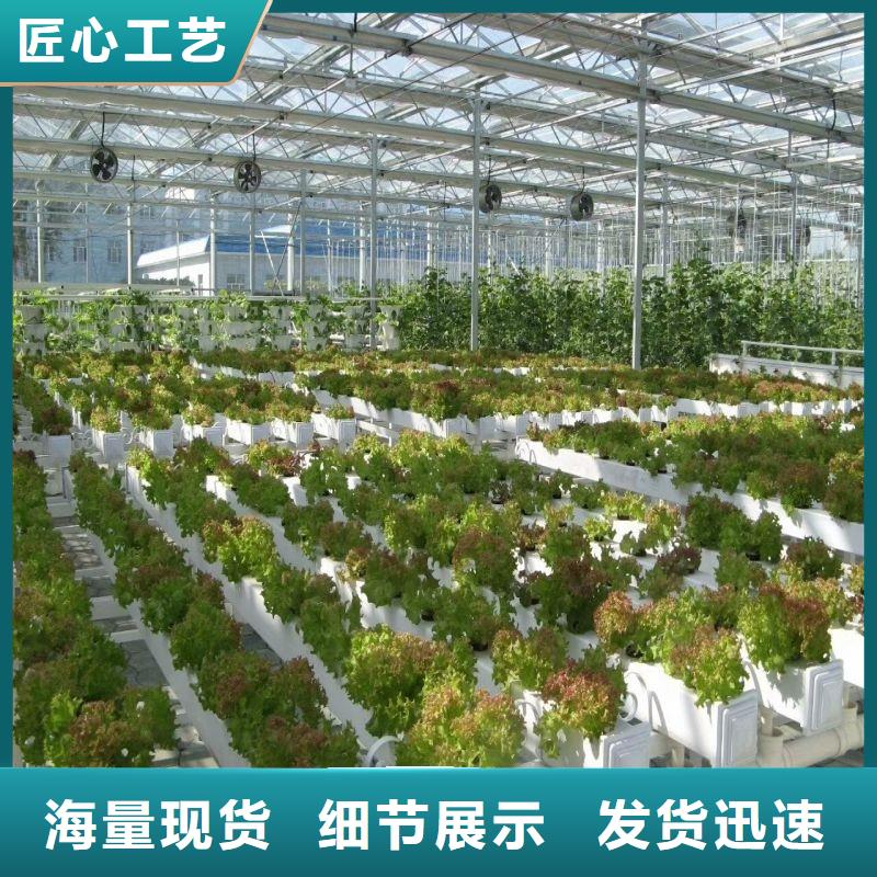 新城圓拱型骨架鋼管