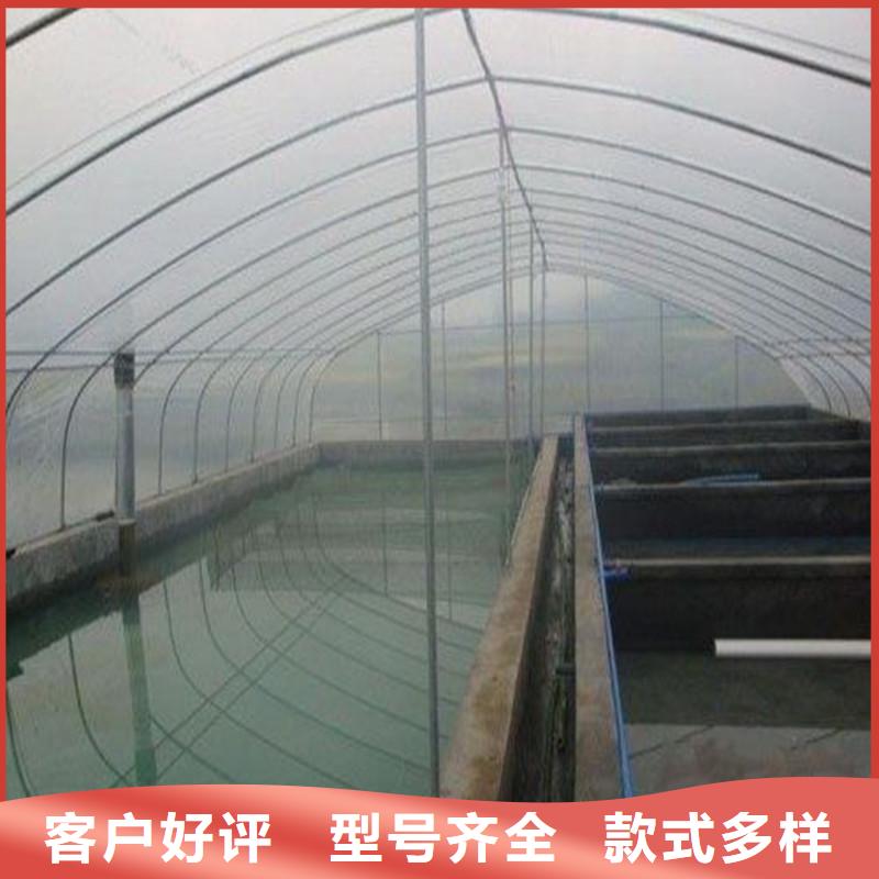陆河简易大棚管现货