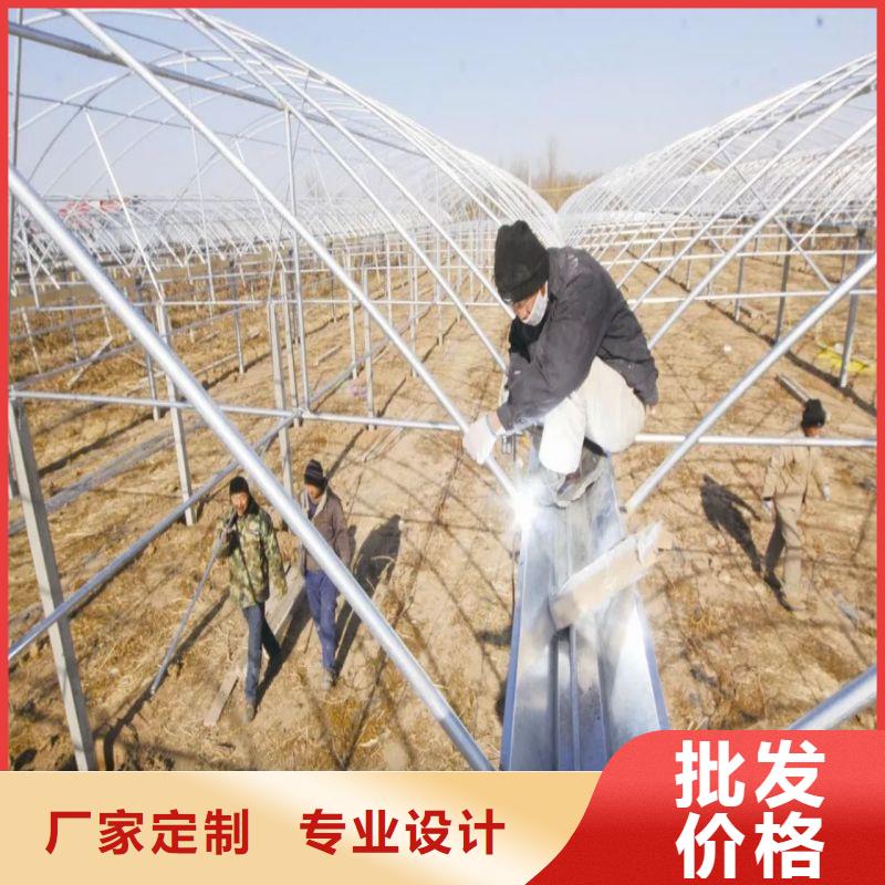 大棚管2 日光温室大棚实体厂家支持定制