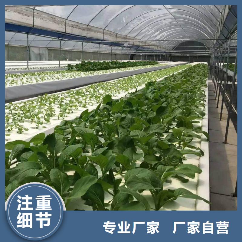 大棚管2-蔬菜温室大棚管来图来样定制