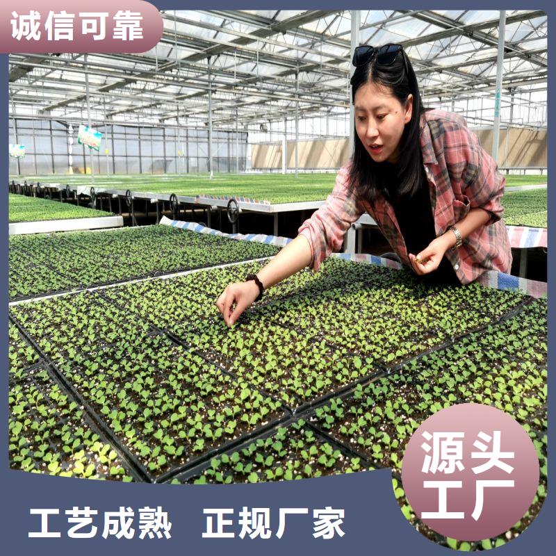 大棚管2农业养殖大棚管源头厂家直销