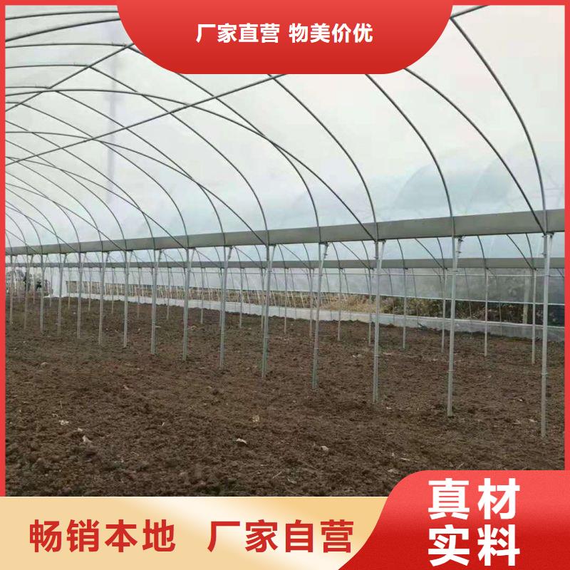 大棚管2橢圓管溫室大棚大量現(xiàn)貨供應