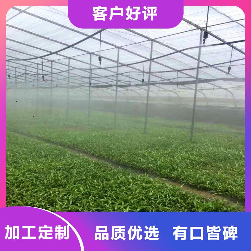 海丰蔬菜大棚管配件
