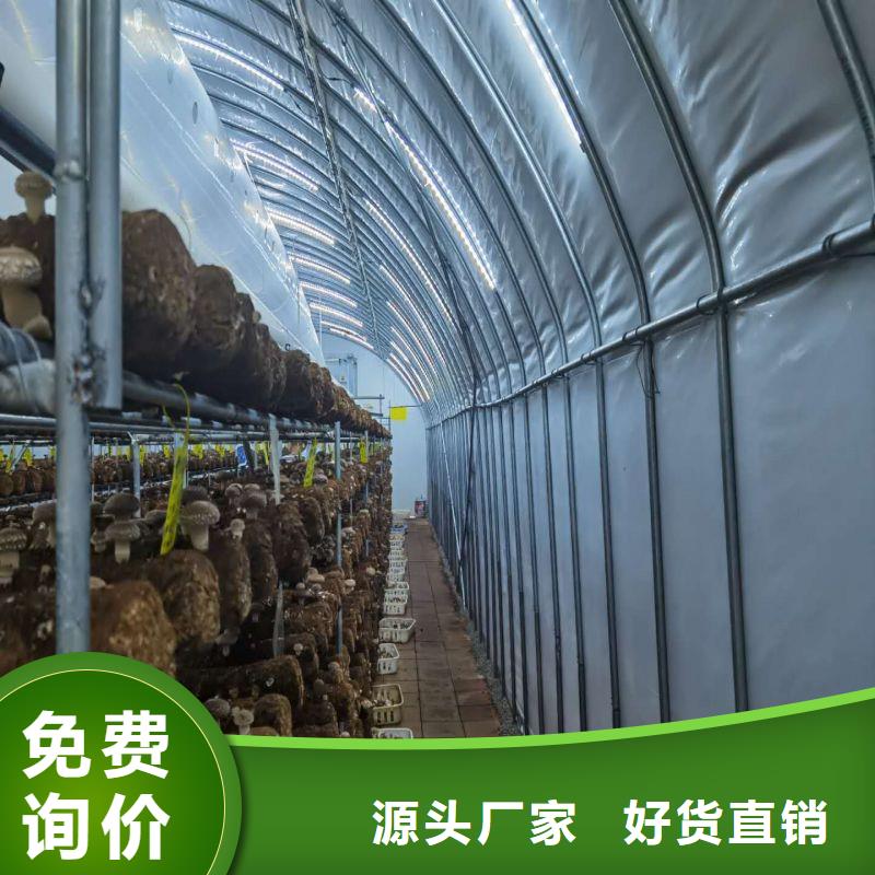 【大棚管2】-農(nóng)業(yè)養(yǎng)殖大棚管值得買