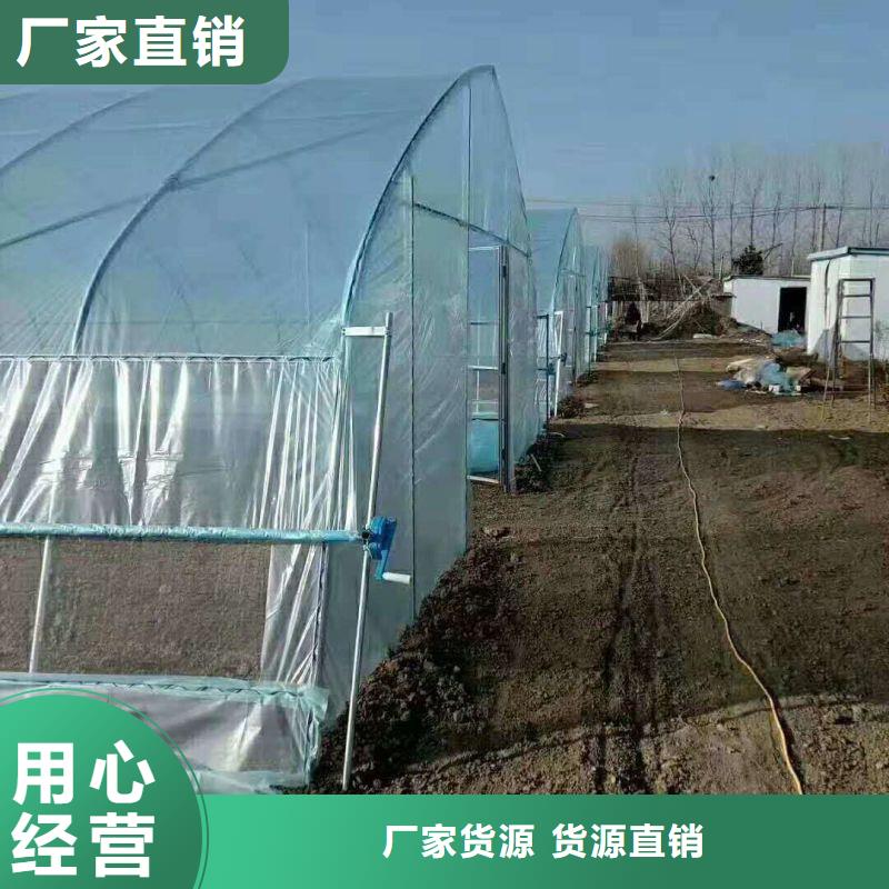 大棚管2连栋大棚管老品牌厂家