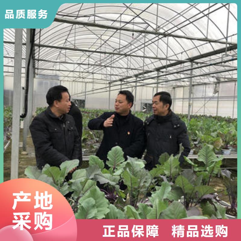 大棚管智能溫室大棚專業(yè)生產(chǎn)制造廠